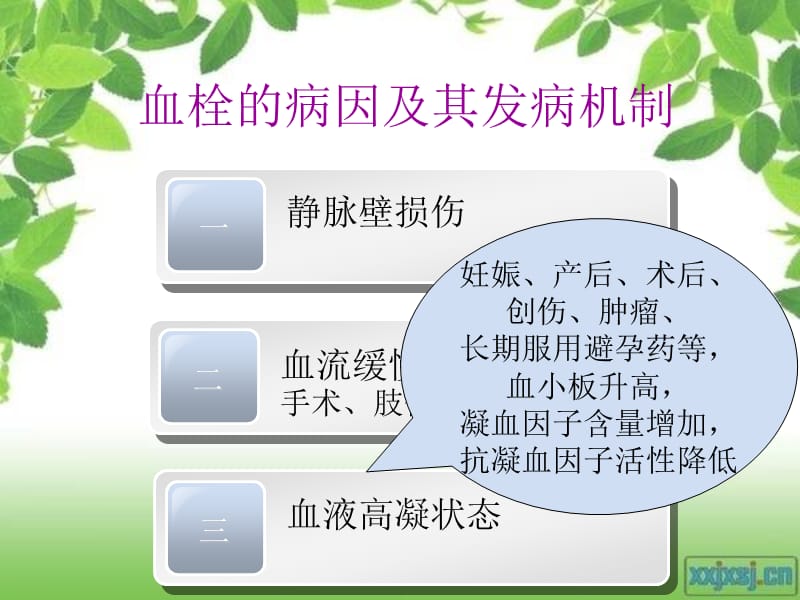 深静脉血栓病人的护理.ppt_第3页