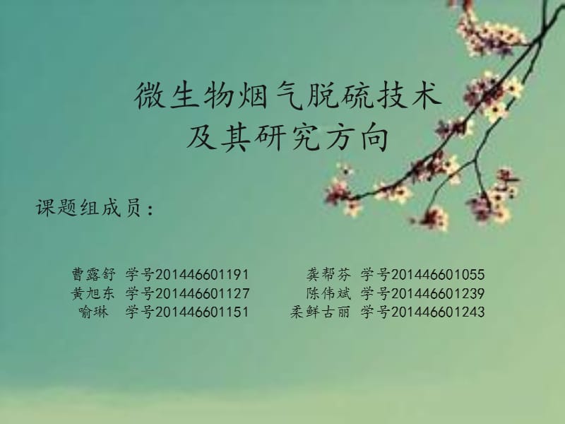 微生物烟气脱硫技及其研究方向.ppt_第1页