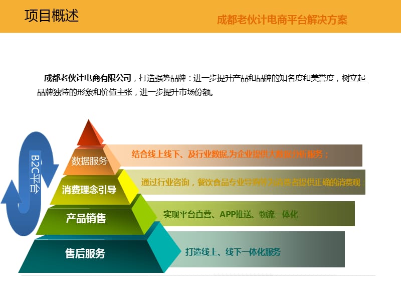 老伙记电商平台解决方案.ppt_第2页