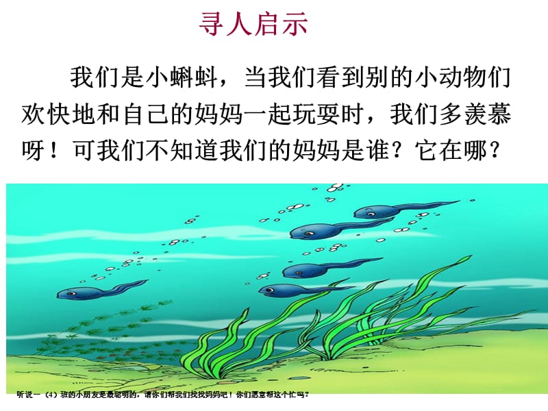 小蝌蚪找妈妈(丁轩婷).ppt_第1页