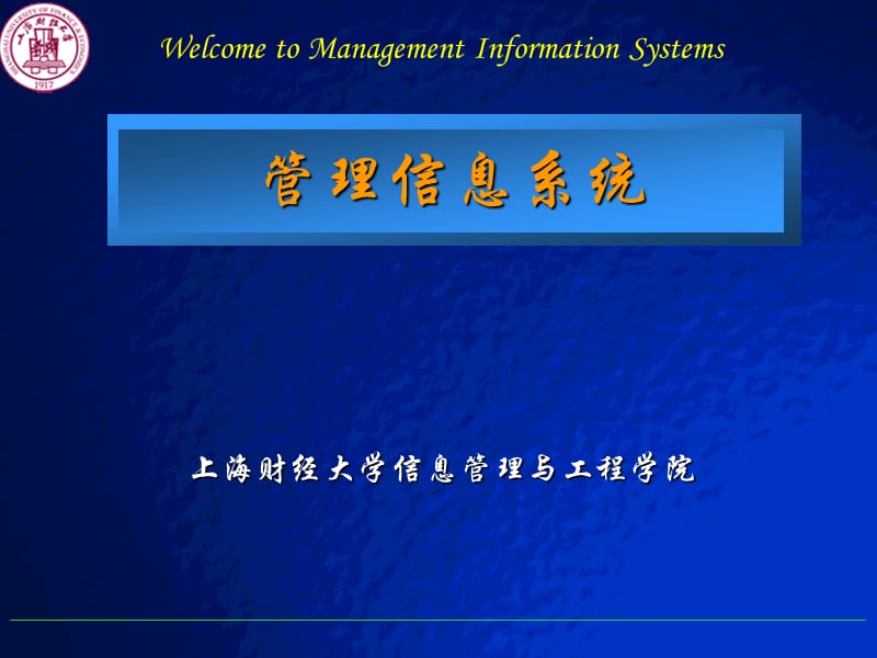 信息系统的开发与实施.ppt_第1页