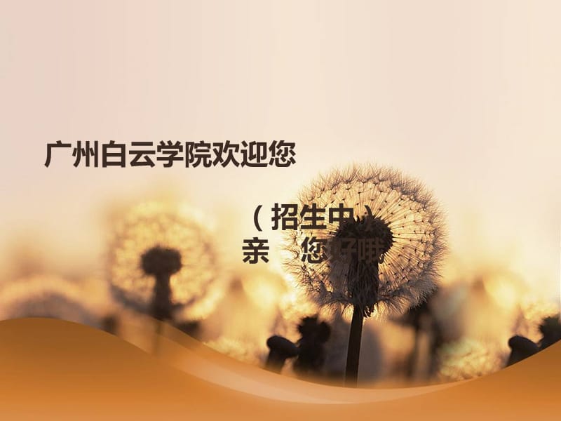 广东省第一品牌学校的计算机专业就在广州白云学院.ppt_第1页