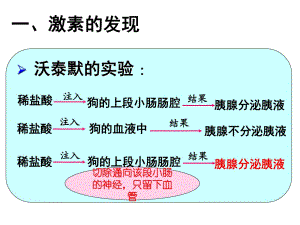 人體主要的內(nèi)分泌腺及分泌激素的作用第一課時(shí).ppt