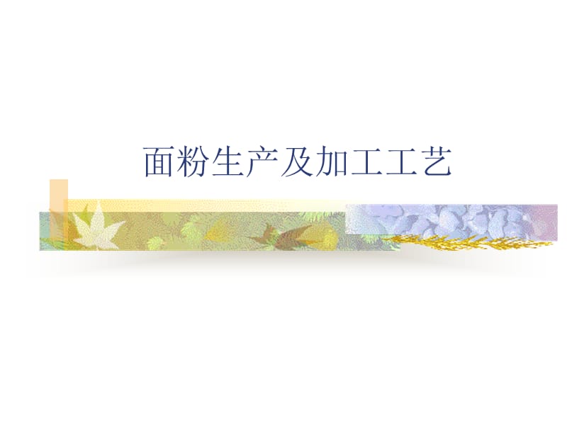 面粉生产及加工工艺.ppt_第1页