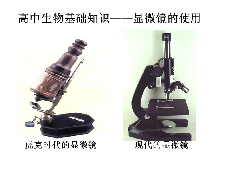 高中生物学基础知识--显微镜.ppt_第1页