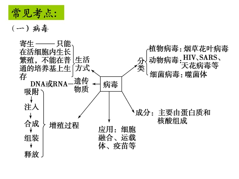 高一生物期中复习.ppt_第3页