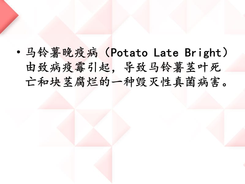 马铃薯晚疫病李湘桐.ppt_第2页
