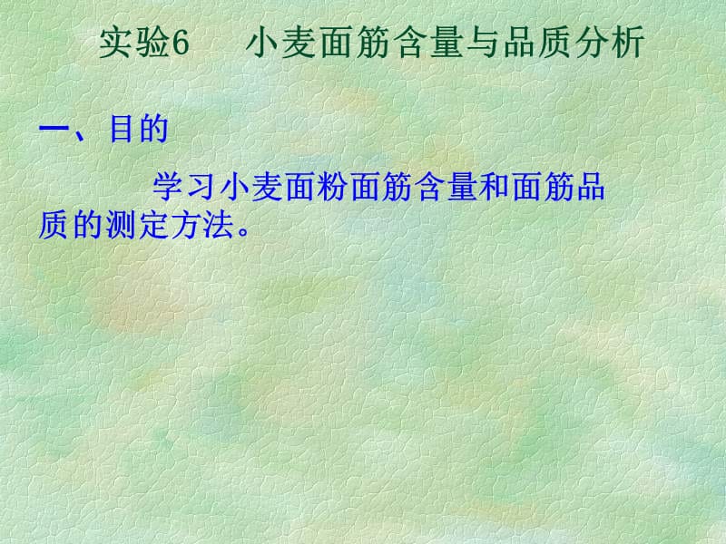 面筋的提取和测试.ppt_第1页