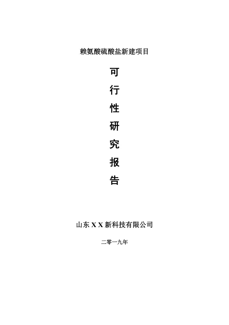 赖氨酸硫酸盐新建项目可行性研究报告-可修改备案申请_第1页