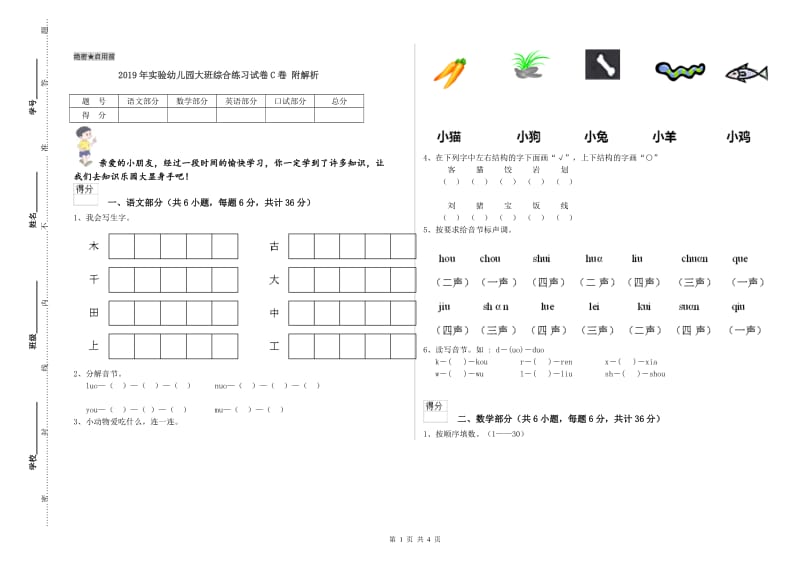 2019年实验幼儿园大班综合练习试卷C卷 附解析.doc_第1页