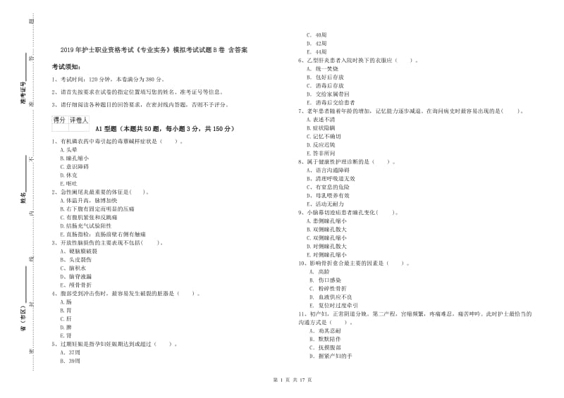 2019年护士职业资格考试《专业实务》模拟考试试题B卷 含答案.doc_第1页