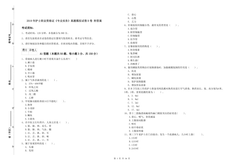 2019年护士职业资格证《专业实务》真题模拟试卷B卷 附答案.doc_第1页