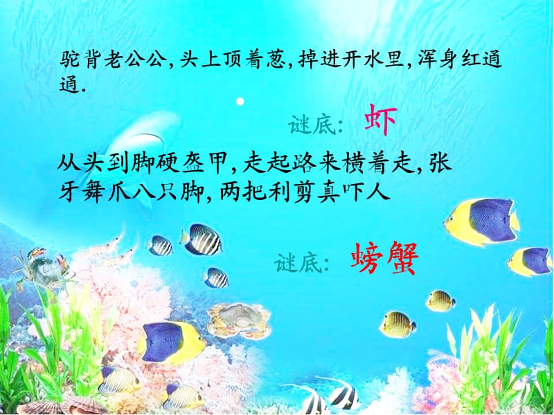 二年级上册美术课件－13.虾和蟹（一） ｜苏少版 (共16张PPT)_第2页