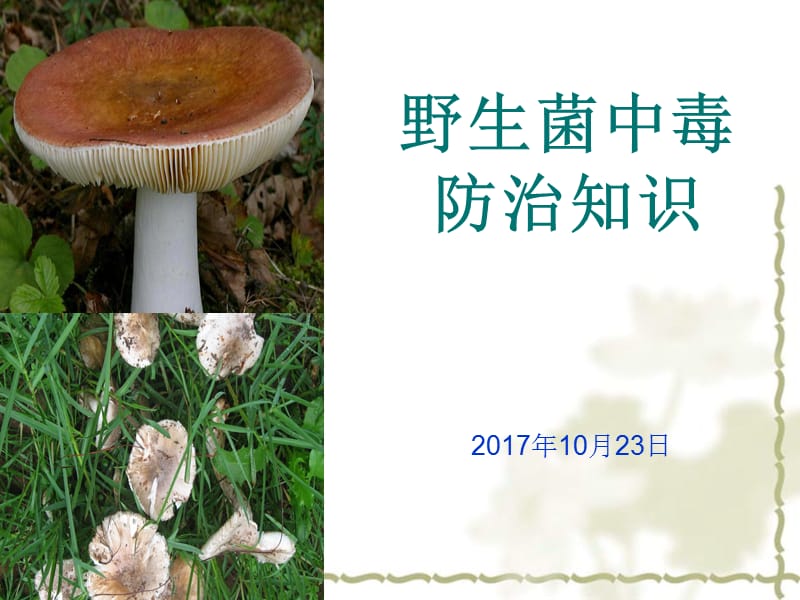 野生菌中毒預(yù)防知識.ppt_第1頁