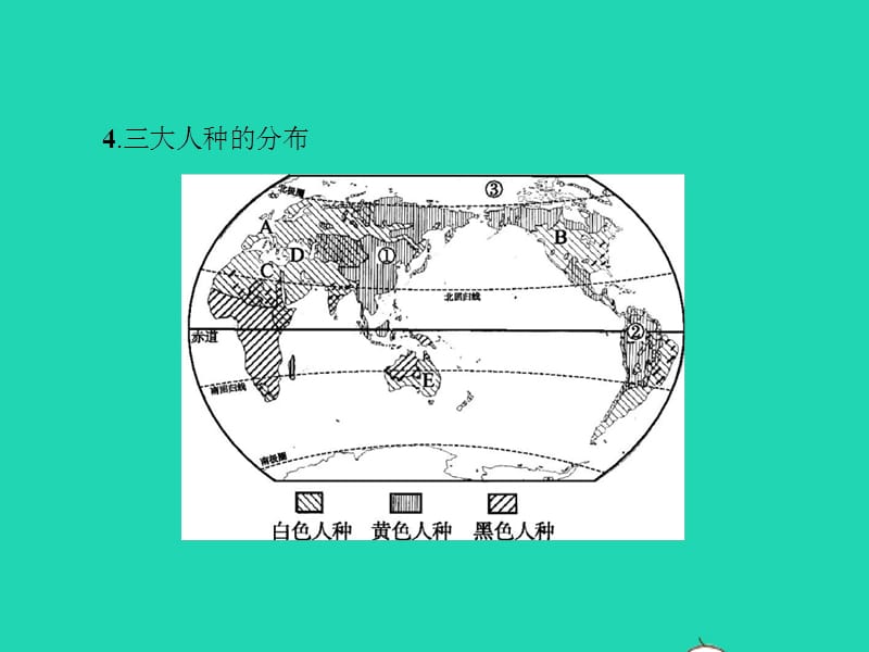 七年级地理上册3.2世界的人种课件（新版）湘教版_第3页