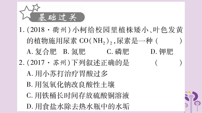 常见的物质第讲盐化肥精练课件_第2页