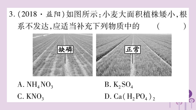 常见的物质第讲盐化肥精练课件_第3页