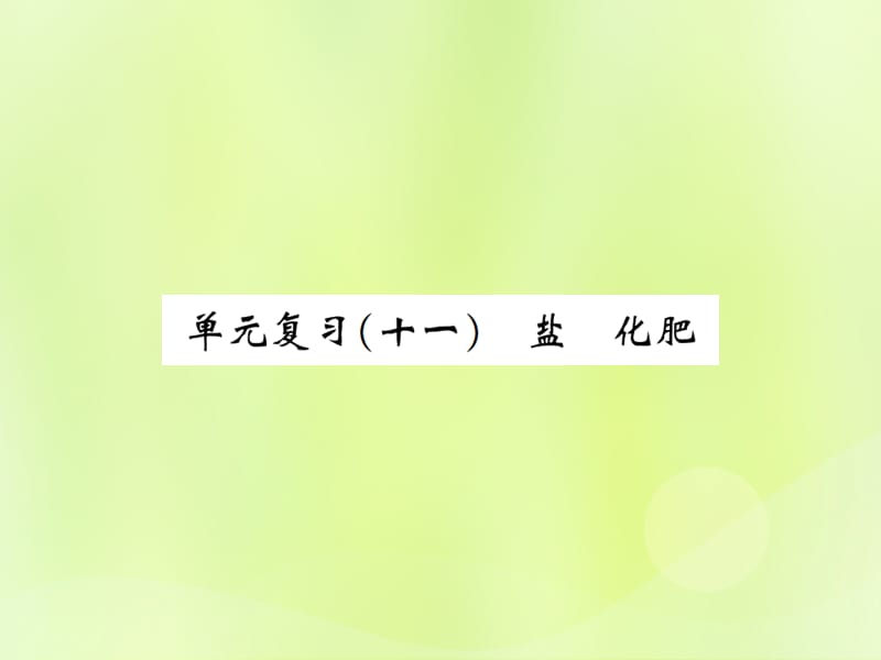 化学下册第十一单元盐化肥单元复习十一盐化肥复习课件新版新人教版_第1页