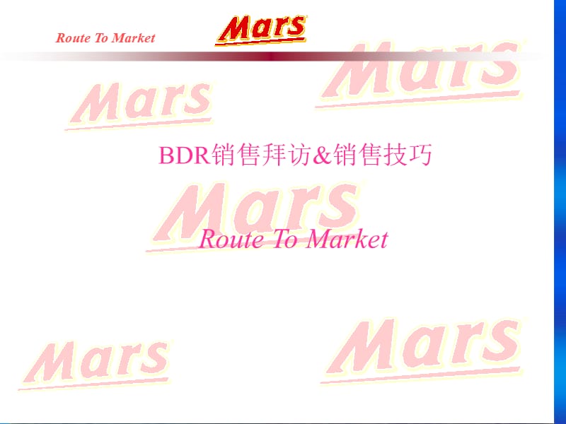 玛氏BDR销售拜访及技巧.ppt_第2页