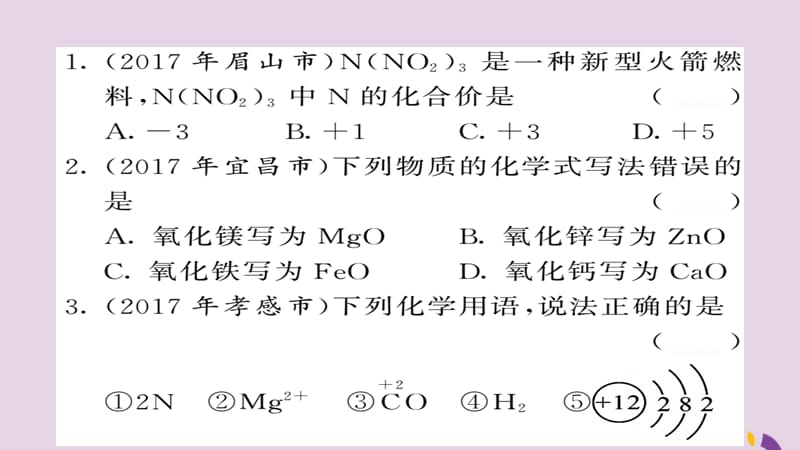 中考化学总复习第二轮专题训练提升能力专题一化学用语练习课件_第2页