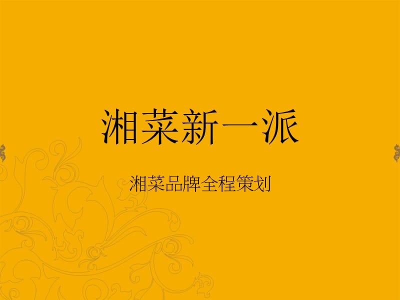 湘菜品牌营销策划.ppt_第1页