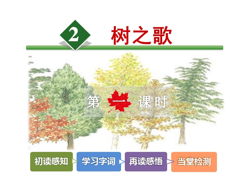 树之歌PPT课件.ppt_第2页