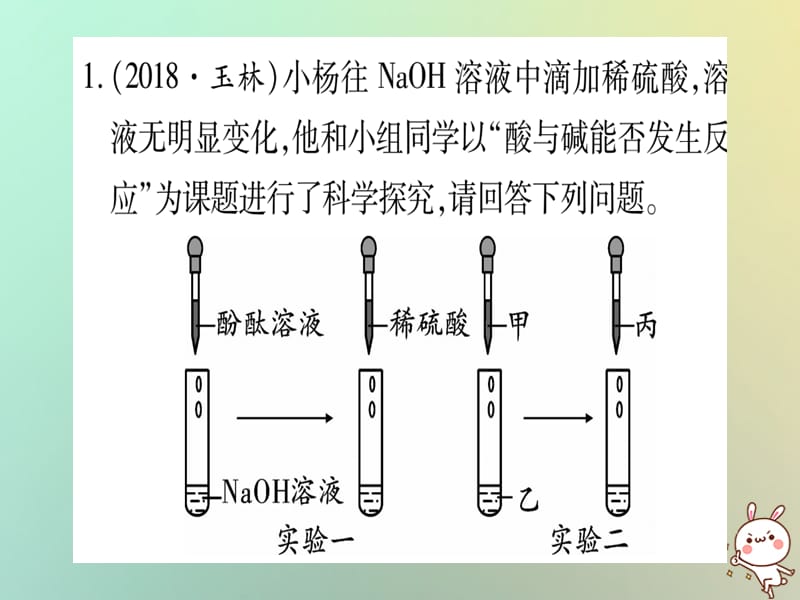 中考化学准点备考复习重难专题实验探究题课件新人教版_第2页