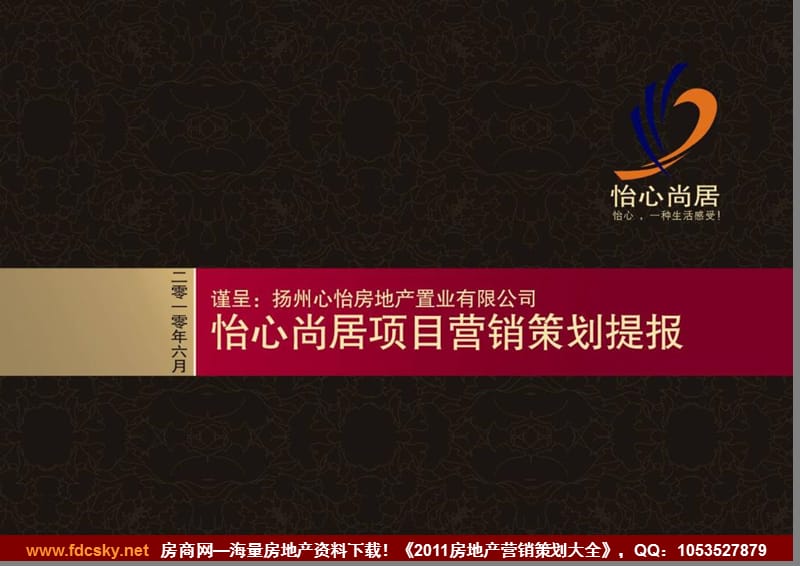 2010年6月泰州怡心尚居项目营销策略提案.ppt_第1页