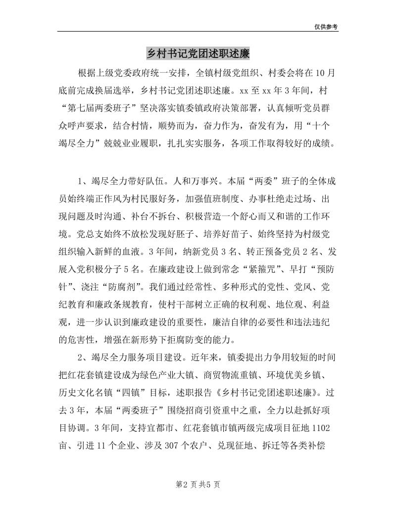 乡村书记党团述职述廉.doc_第2页