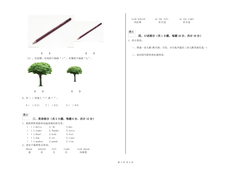 实验幼儿园大班月考试卷B卷 附解析.doc_第3页