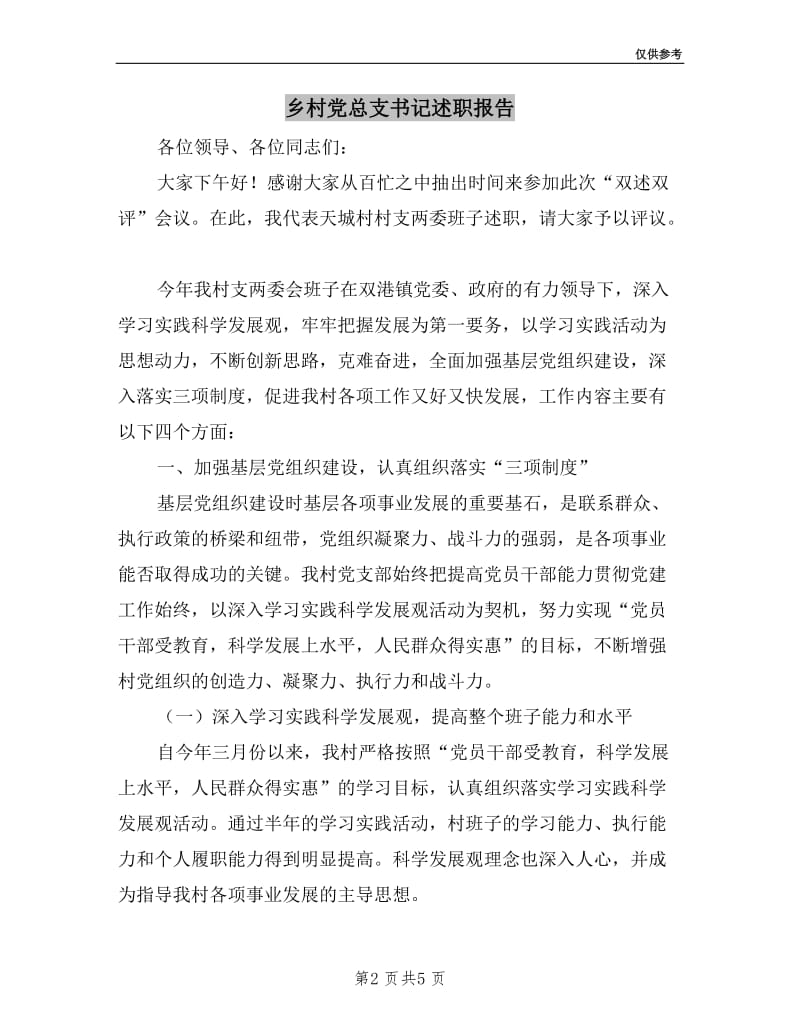 乡村党总支书记述职报告.doc_第2页