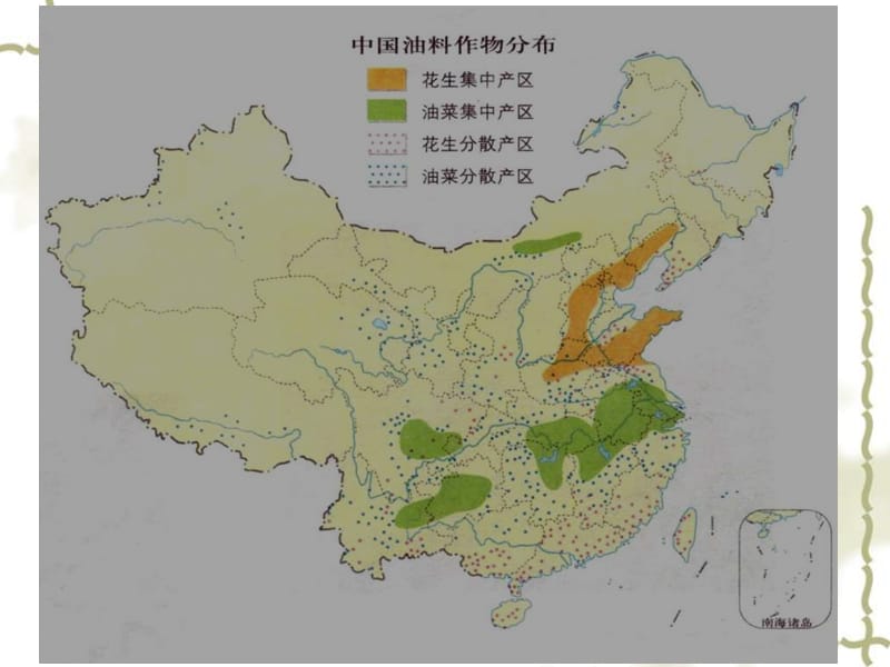 2010届高三地理区域农业发展.ppt_第3页