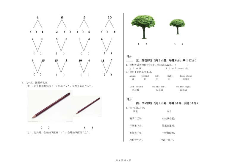 实验幼儿园大班考前检测试卷C卷 含答案.doc_第3页