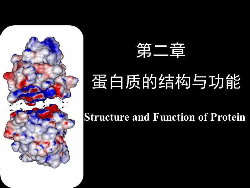 《醫(yī)學生物化學》PPT課件.ppt_第1頁