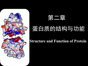 《醫(yī)學(xué)生物化學(xué)》PPT課件.ppt