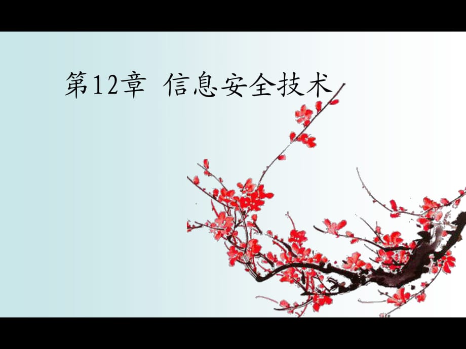 《信息安全技术》PPT课件.ppt_第1页