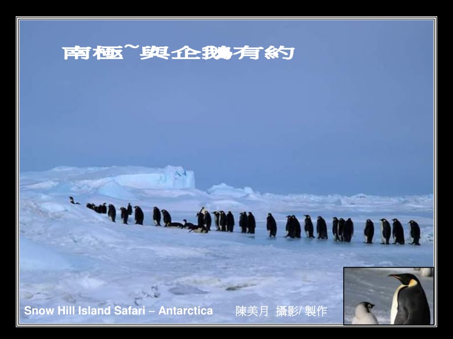 《南极~与企鹅有约》PPT课件.ppt_第1页