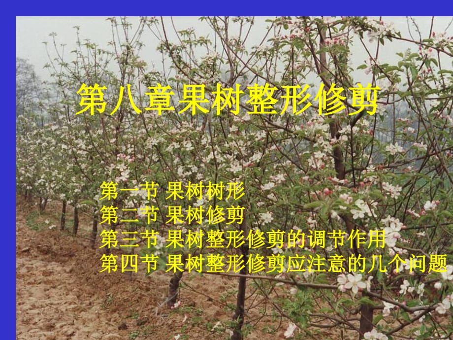 《果樹整形修剪》PPT課件.ppt_第1頁(yè)