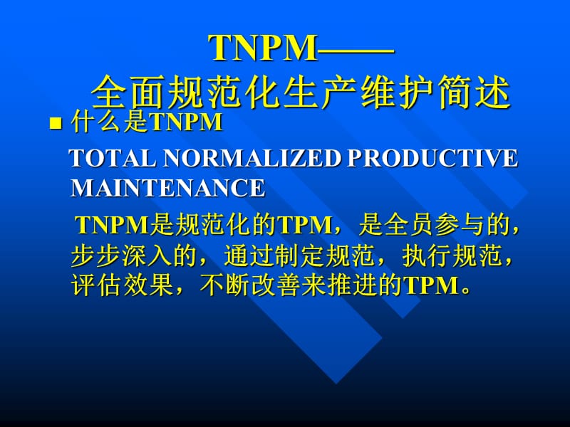 TNPM-全面规范化生产维护简述.ppt_第2页