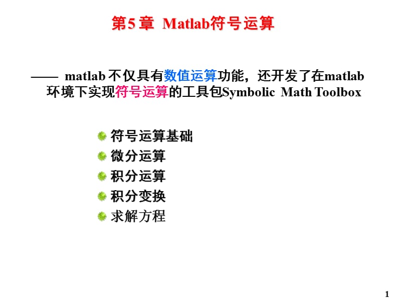 《MATLAB符号运算》PPT课件.ppt_第1页