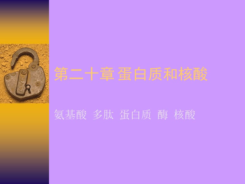 DNA的雙螺旋結(jié)構(gòu)DNA的雙螺旋結(jié)構(gòu).ppt_第1頁