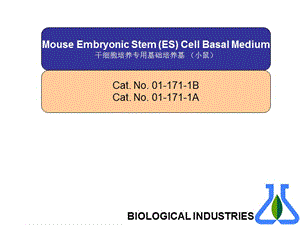 MouseEmbryonicStemCells胚胎干细胞.ppt