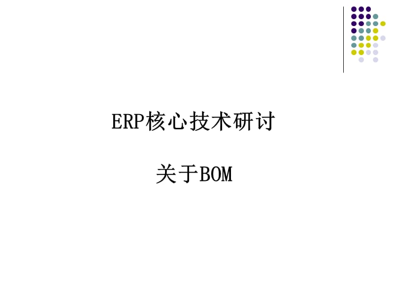 《ERP核心技術(shù)研討》PPT課件.ppt_第1頁