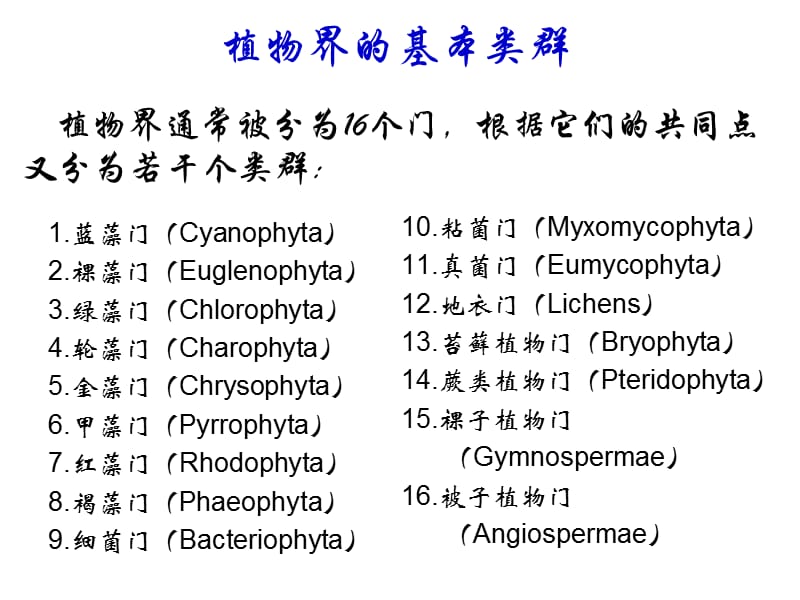 《孢子植物》PPT課件.ppt_第1頁