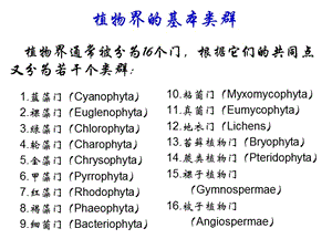 《孢子植物》PPT課件.ppt