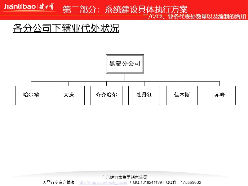 xx系统建设具体执行方案.ppt_第1页