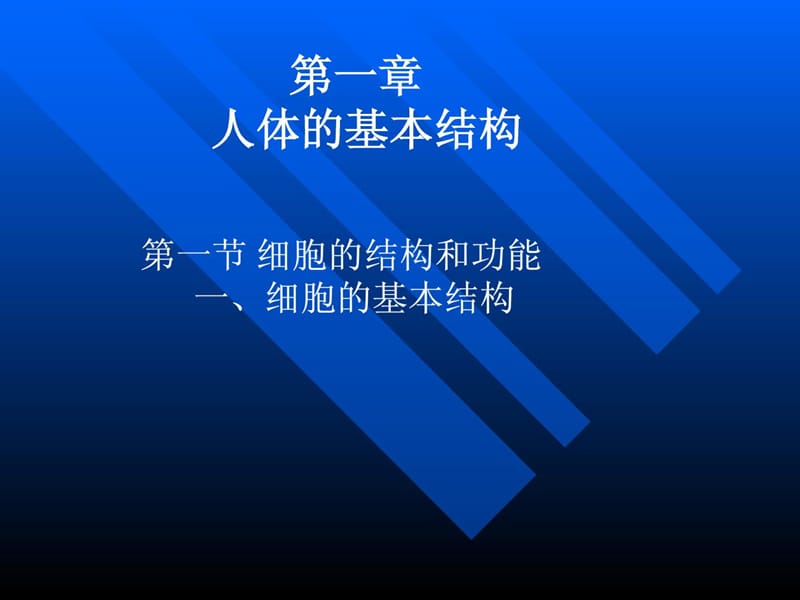 《人體解剖學(xué)》第一章人體基本結(jié)構(gòu).ppt_第1頁(yè)