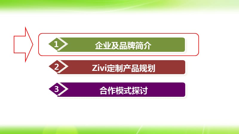 2012年ZIVI智能手机智惠电子商务及品牌网络推广计划方案.ppt_第3页