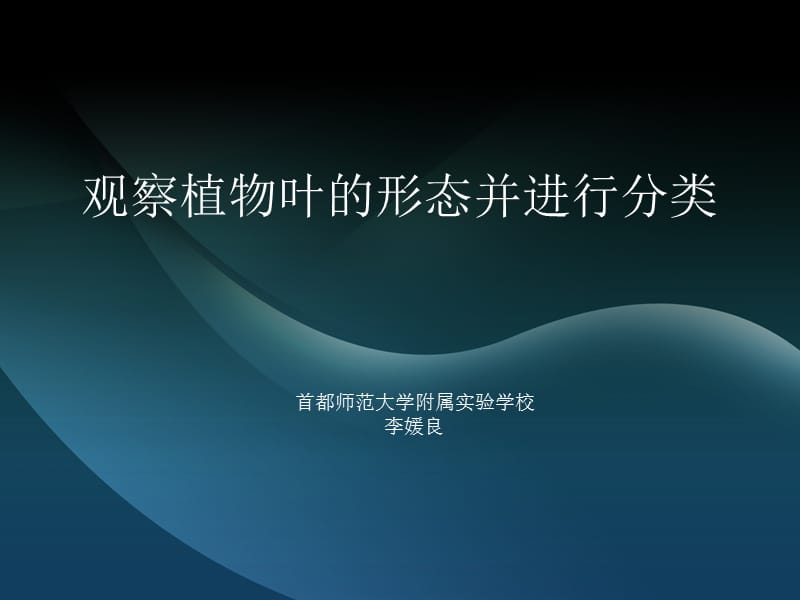 《各种各样的叶》PPT课件.ppt_第1页