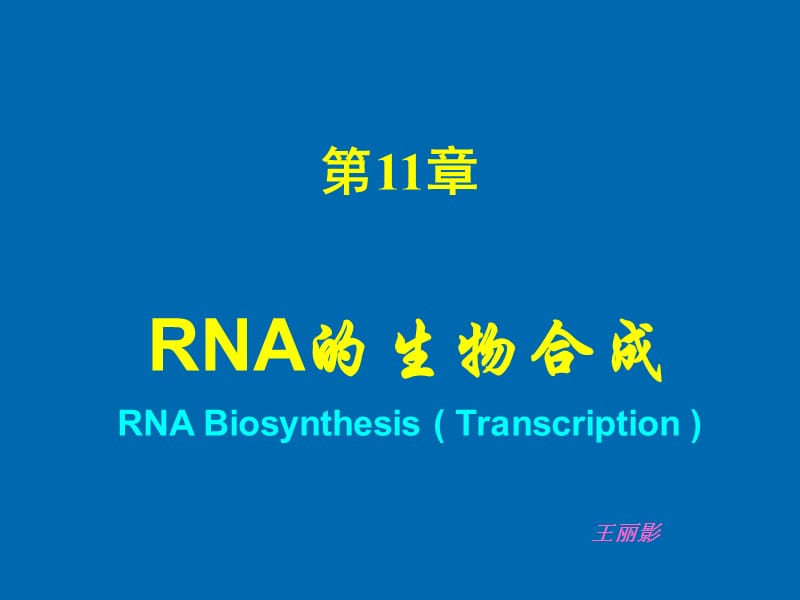 《RNA的生物合成》PPT課件.ppt_第1頁